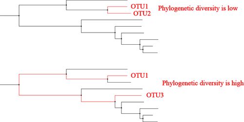 distance uni,Distance Uni: A Comprehensive Guide