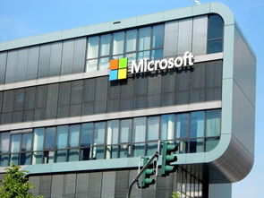 can uni students get microsoft office for free,Understanding the Offer