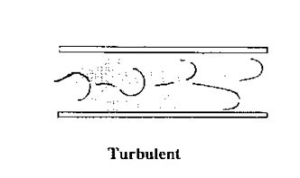 difference between uni and multicellular organisms,Difference Between Uni and Multicellular Organisms