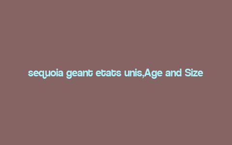 sequoia geant etats unis,Age and Size