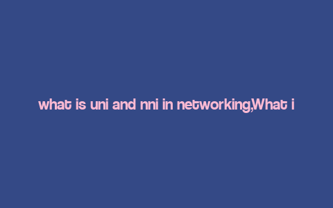 what is uni and nni in networking,What is UNI and NNI in Networking?