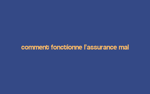 comment fonctionne l’assurance maladie aux etats unis,Understanding the Basics