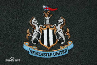 newcastle uni football,Newcastle Uni Football: A Comprehensive Guide