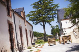 ouvrir un restaurant aux etats unis,Understanding the Market