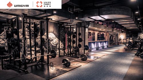 macquarie uni gym,Macquarie Uni Gym: A Comprehensive Guide