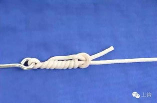 uni knot leader to braid,Understanding the Uni Knot Leader to Braid Technique