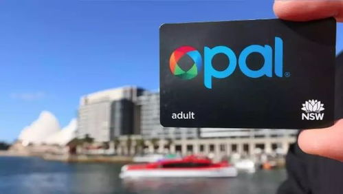 what opal card do uni students use,Understanding the Opal Card System